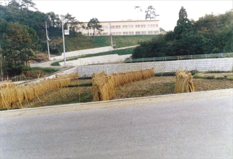 1969年の建設中の光塩日野幼稚園